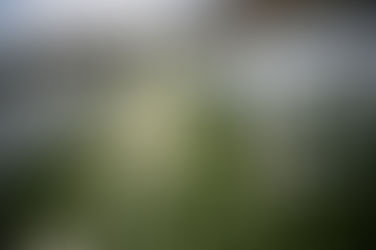 This is the title of your first image post