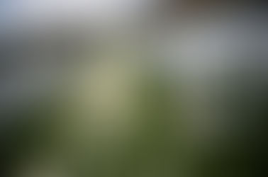 This is the title of your first image post